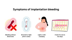 Female Egg Implantation